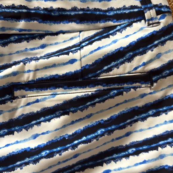 NWT! SPANX sunshine short. Blue painted stripe. Inseam: 4”=S&M. 6”=XL. $68 - Picture 6 of 15